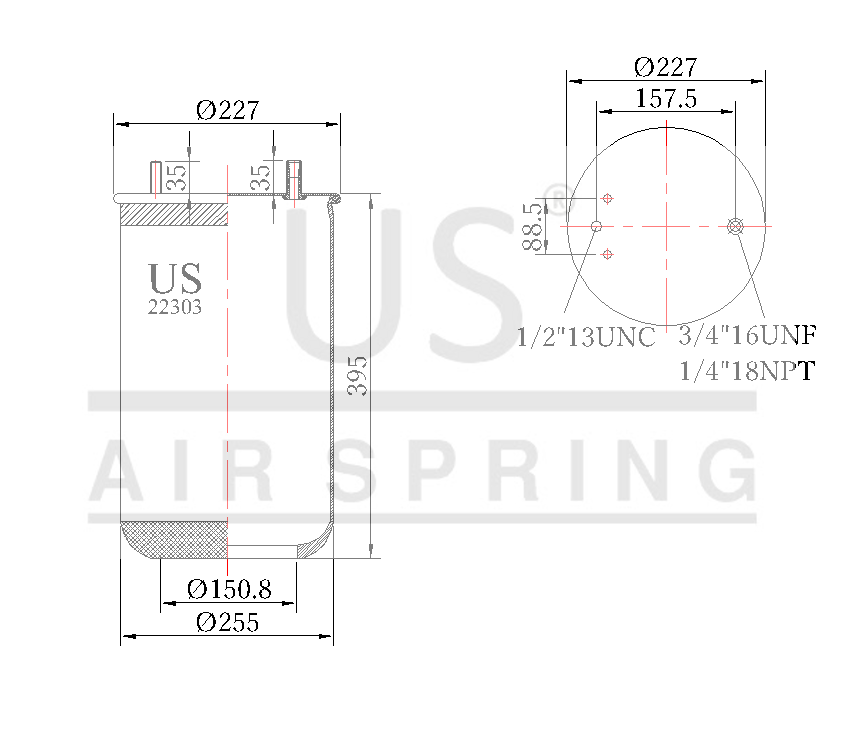 US - 22303 P