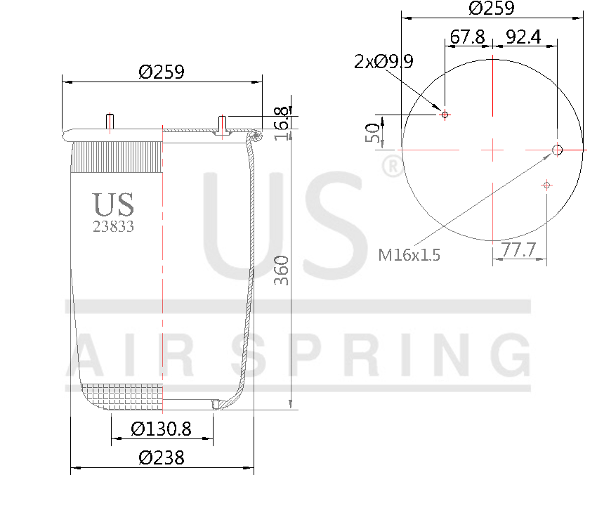 US - 23833 P